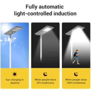 Energy-Efficient LED Solar Street Lamp