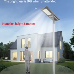 Solar streeet lamp with ai human microwave sensing